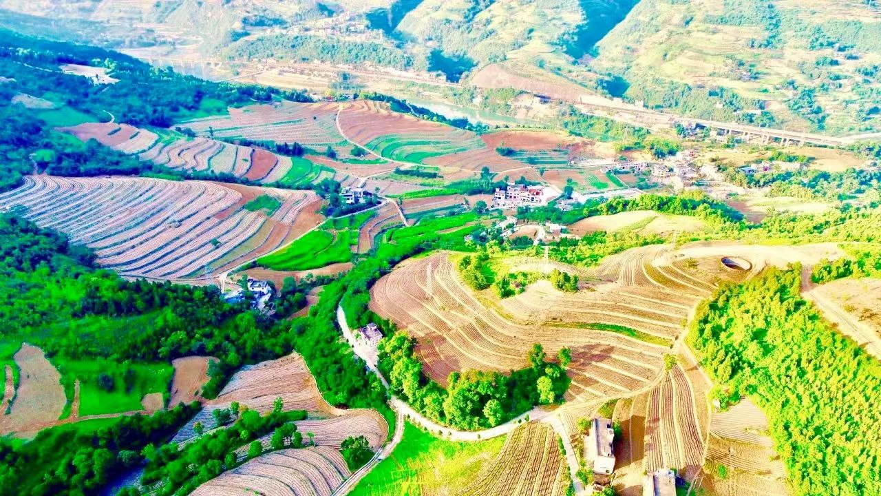 03af19749b7e41409840b7a37159ac9.jpg 03af19749b7e41409840b7a37159ac9.jpg